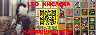 крисы Севастополь