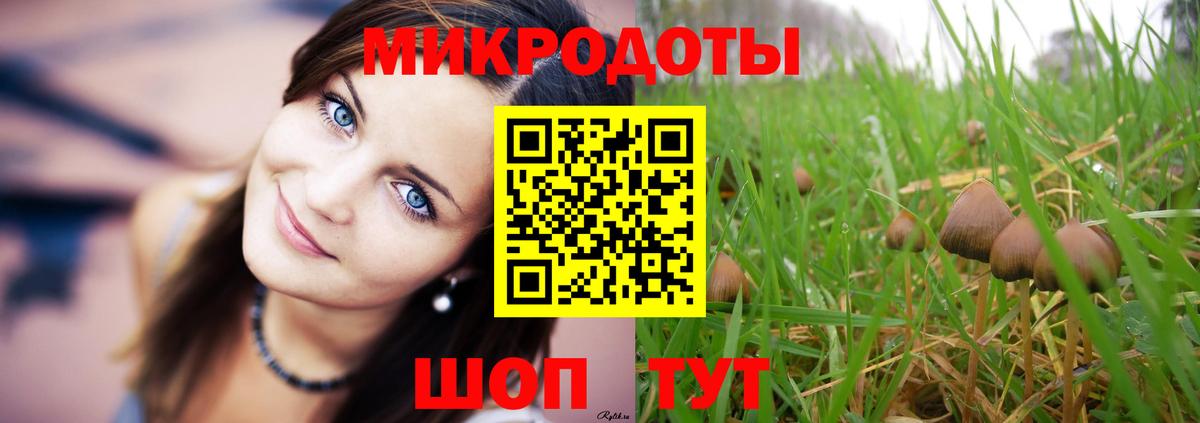 Псилоцибиновые грибы Psilocybe Сердобск
